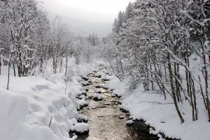 1233421_winter_scenery_