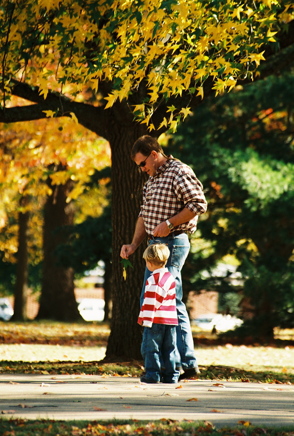 Calculator visual data 8