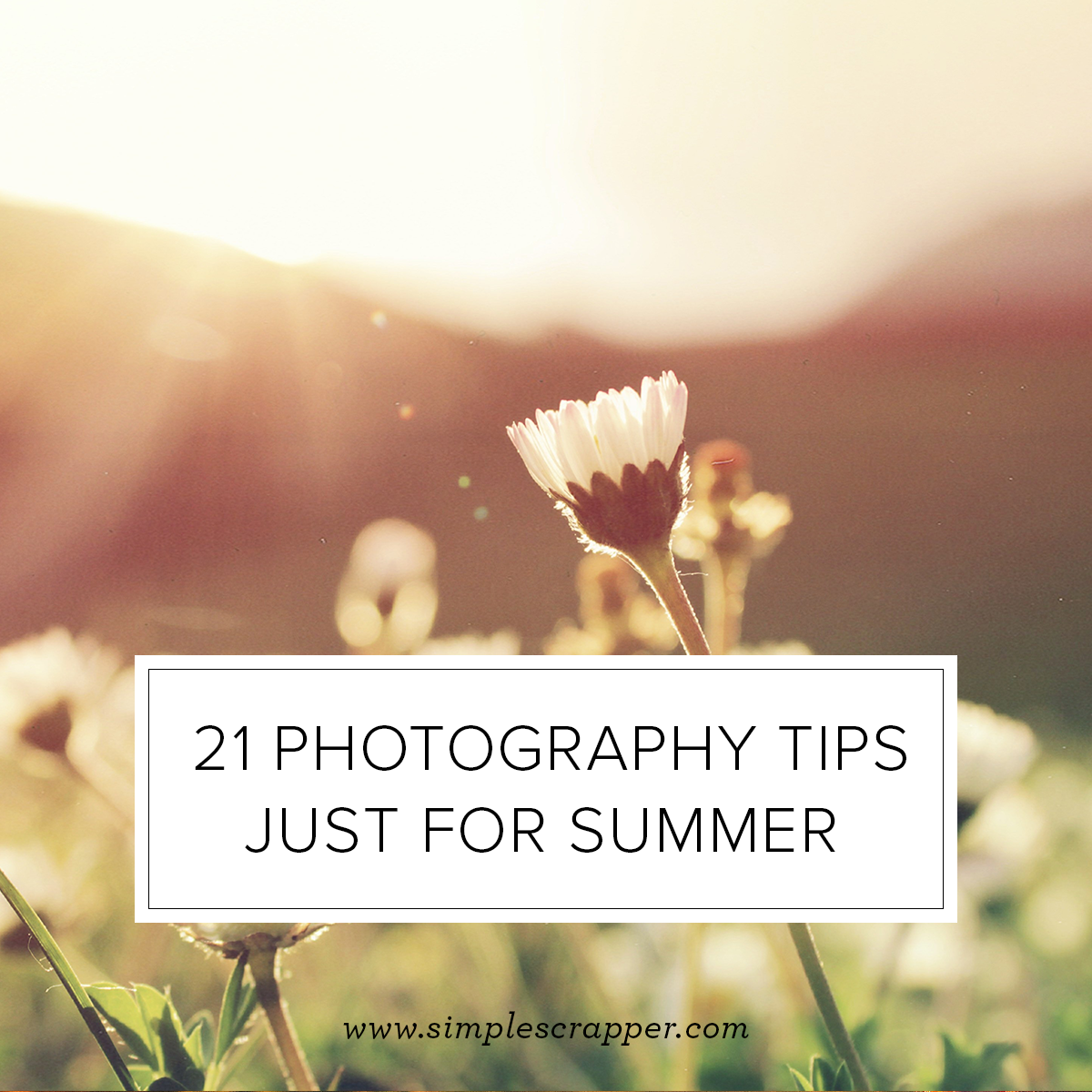 summer-photography-tips