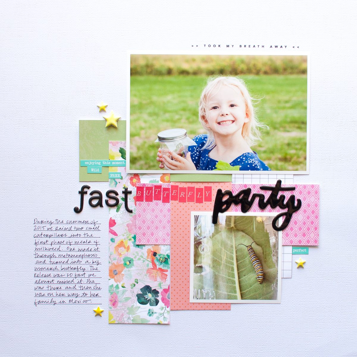 Fast Butterfly Party by Jennifer Wilson