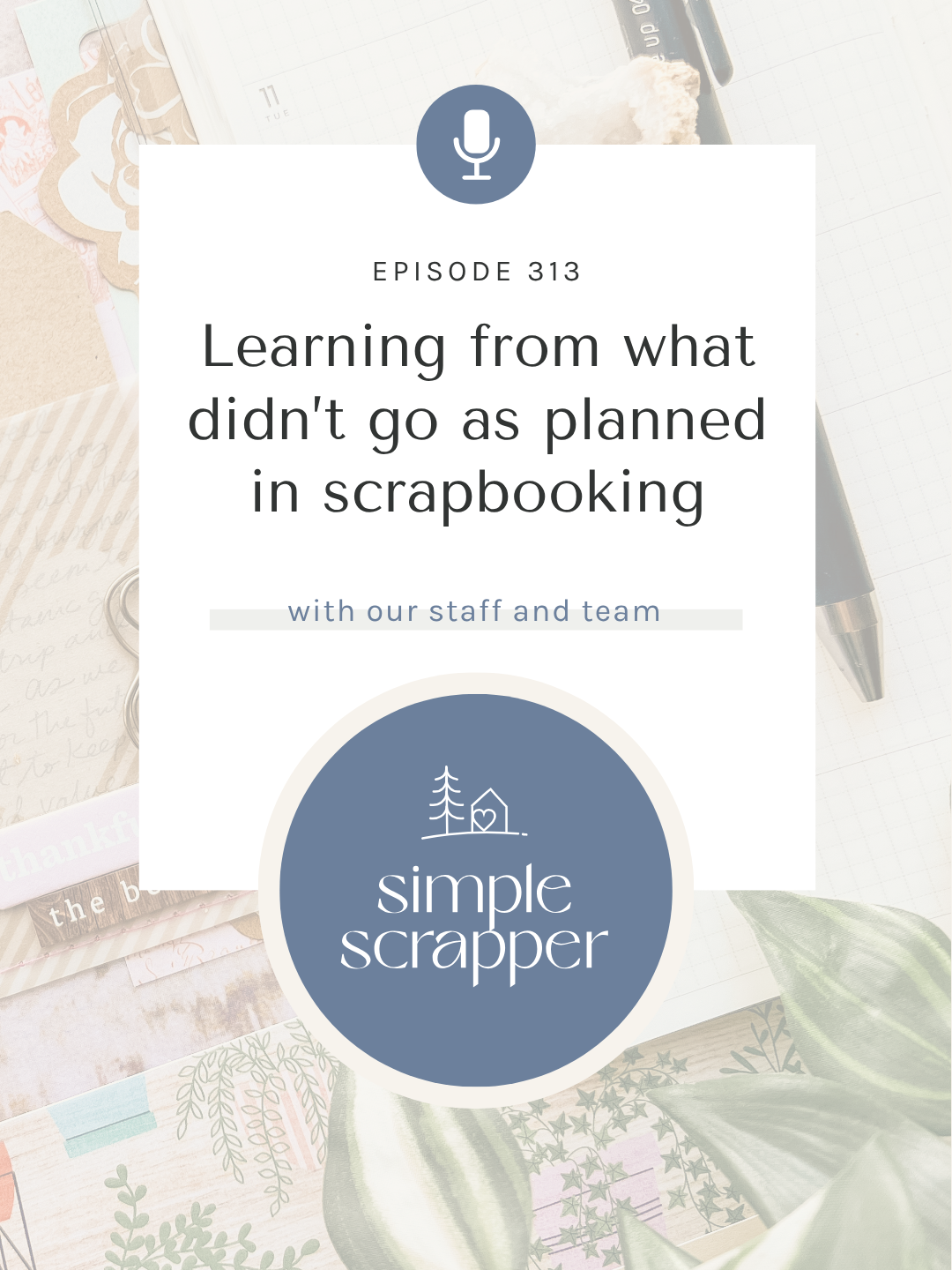 SYW313 – What We Learned This Year